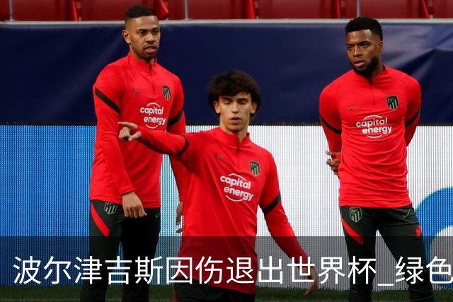 波尔津吉斯因伤退出世界杯 绿色军团训练营无碍